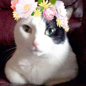 Meet your Posher, Selina